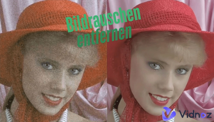 Wie entferne ich Bildrauschen? Diese kostenlosen KI-Image-Denoiser helfen dabei.